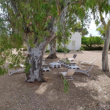 Terreamare Agriturismo Porto Cesareo Eksteriør bilde