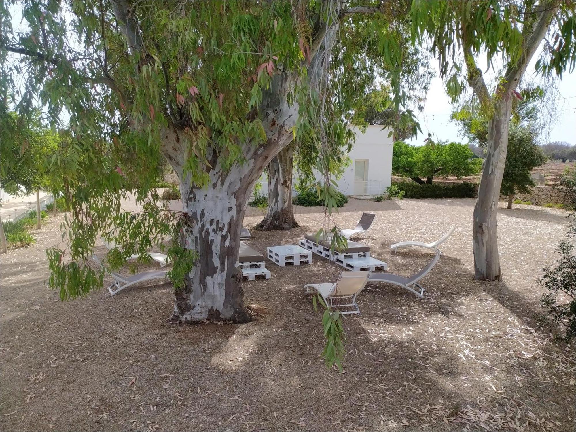 Terreamare Agriturismo Porto Cesareo Eksteriør bilde